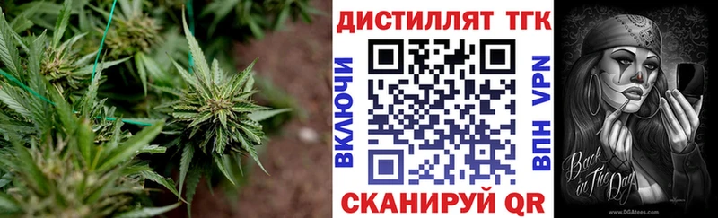 купить   Лукоянов  ТГК Wax 